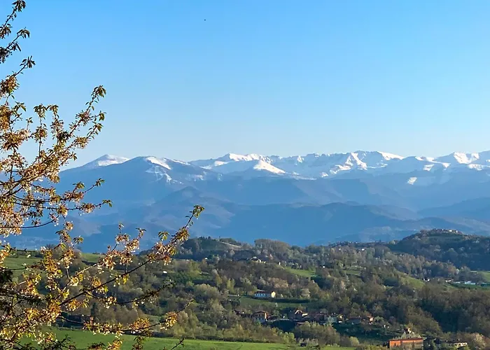 Just Langhe Casa Nebbiolo