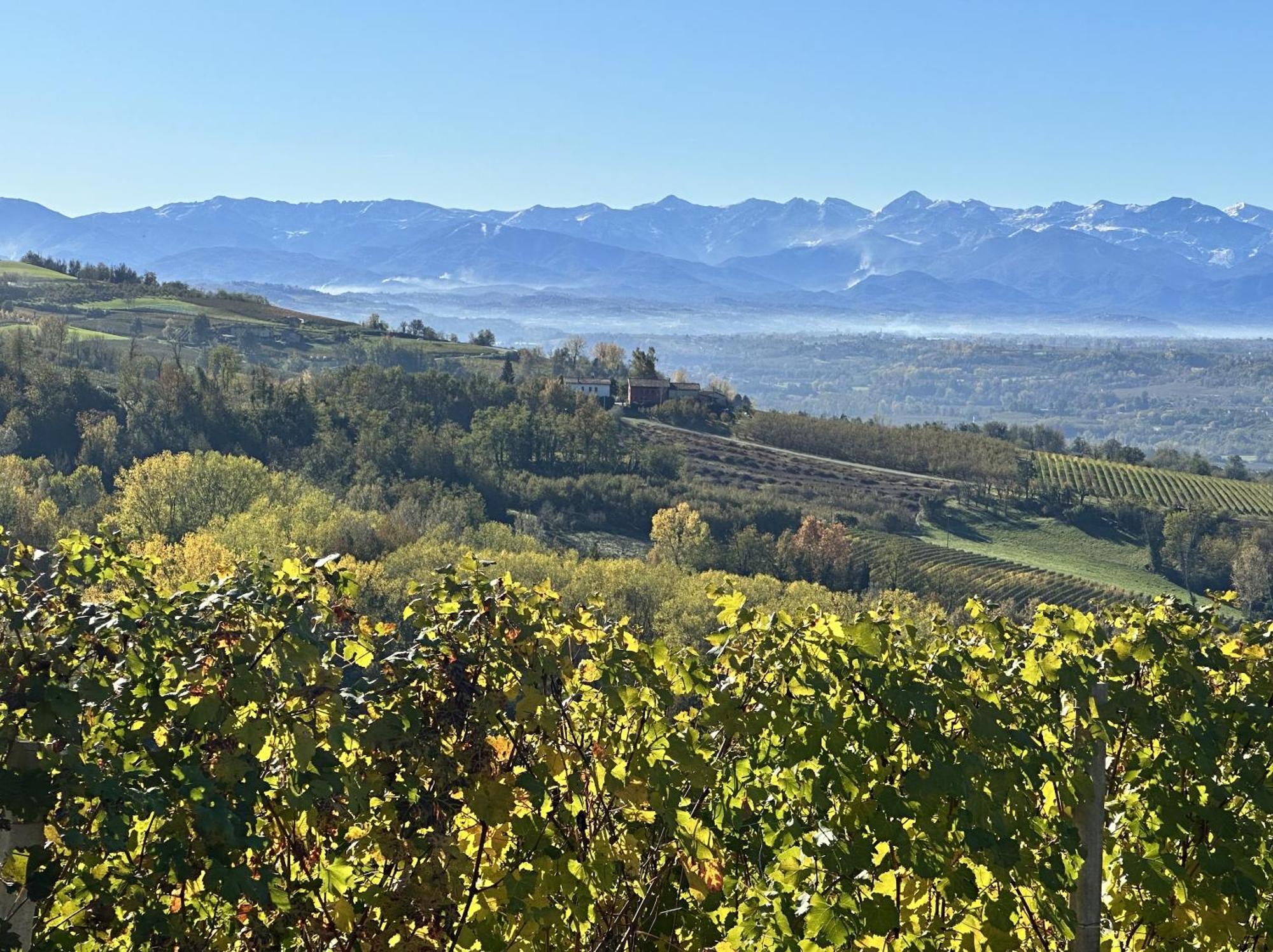 Just Langhe Casa Nebbiolo Villa *