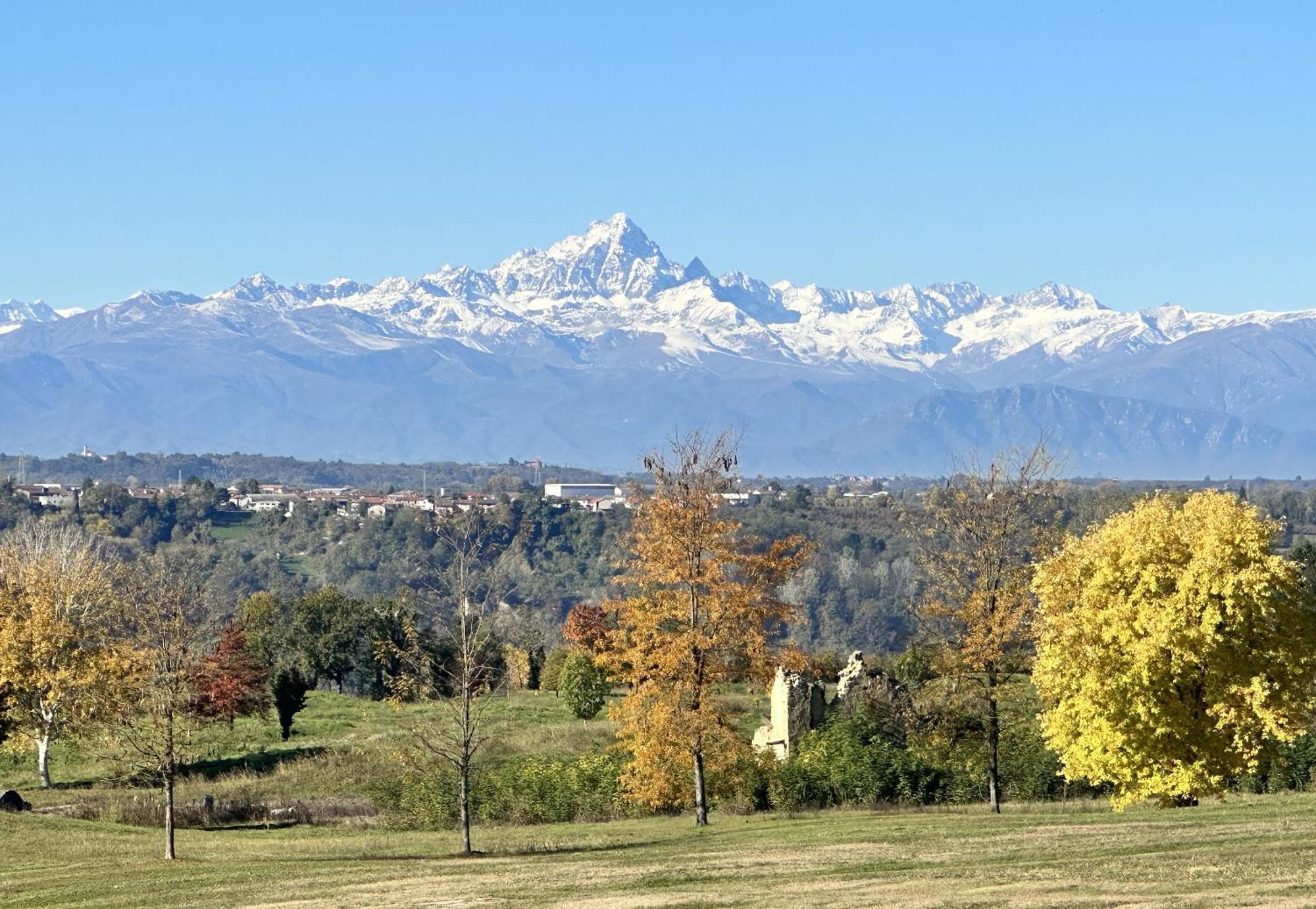 Just Langhe Casa Nebbiolo * Novello
