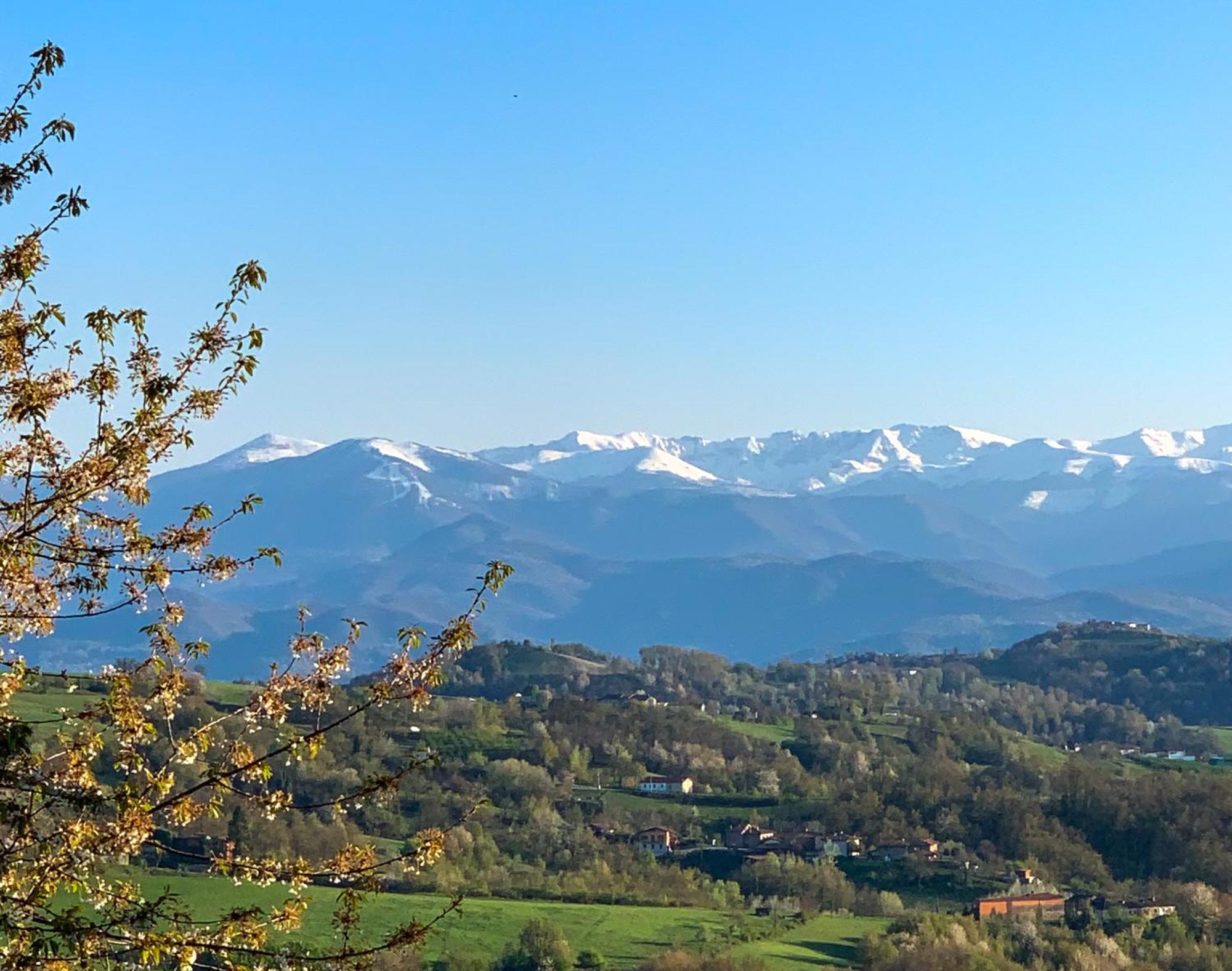 Just Langhe Casa Nebbiolo *