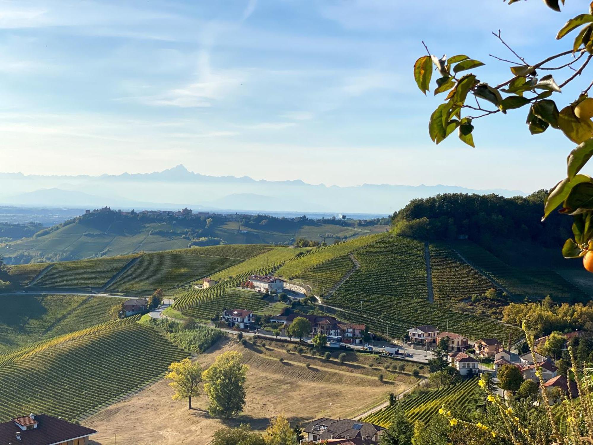 Just Langhe Casa Nebbiolo Novello