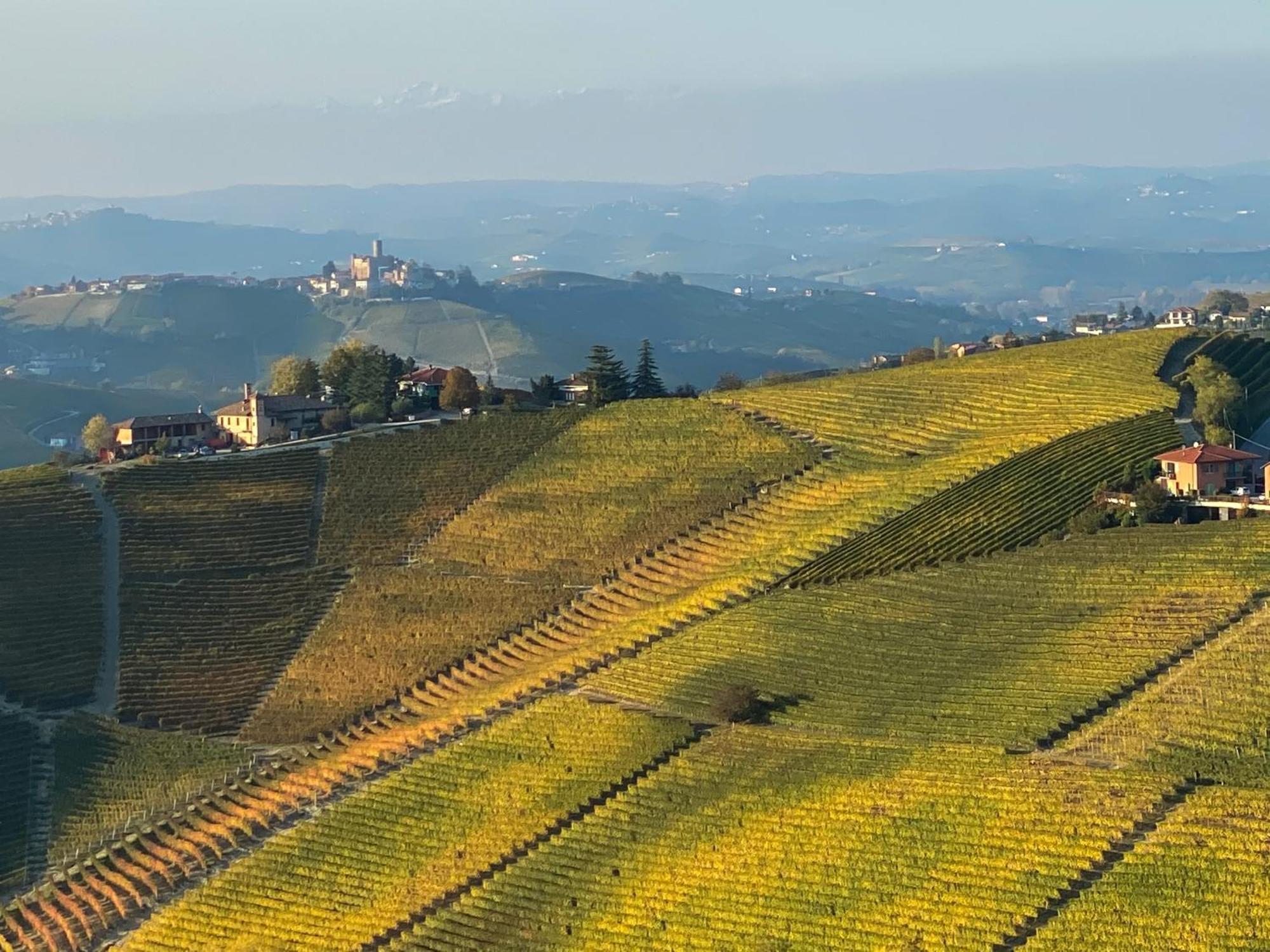 Just Langhe Casa Nebbiolo