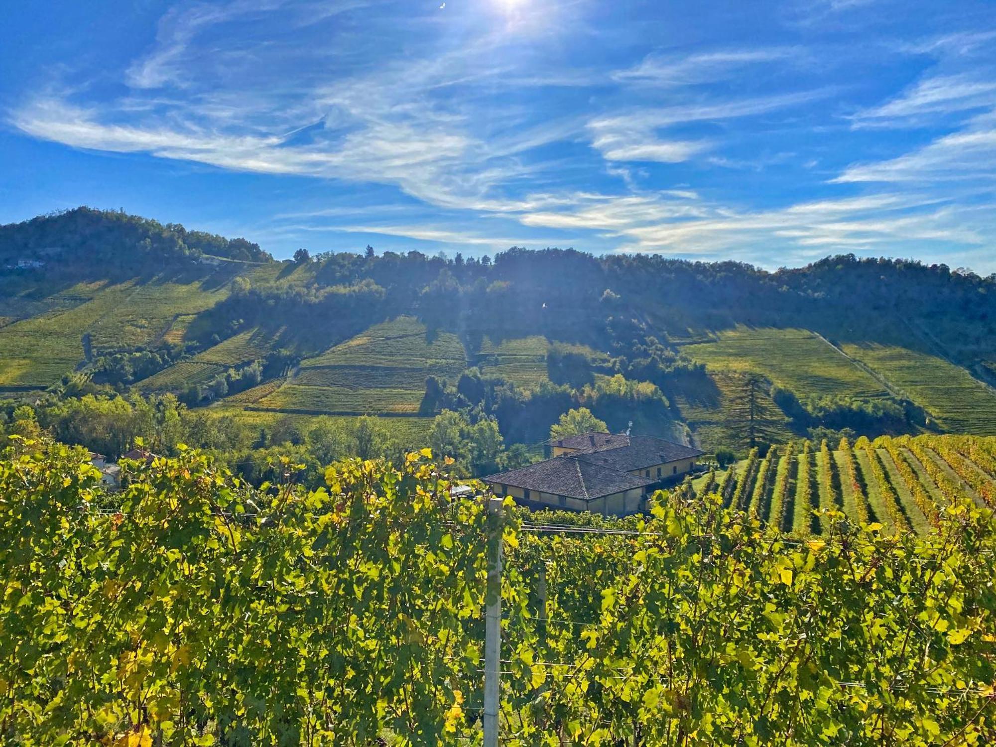 Just Langhe Casa Nebbiolo *
