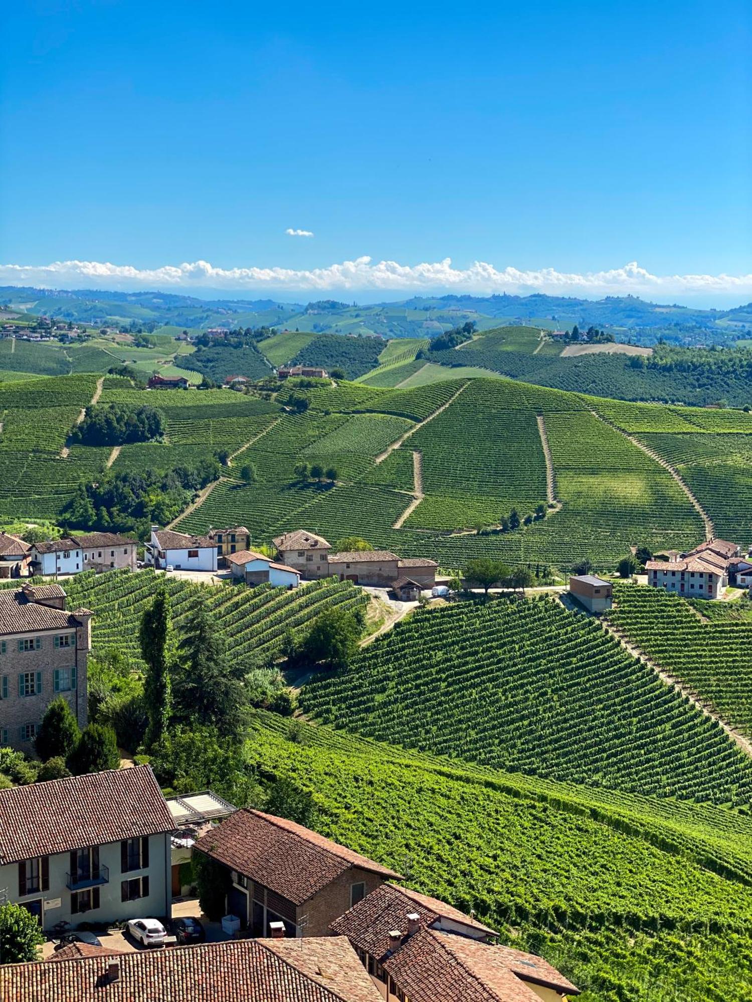 Just Langhe Casa Nebbiolo Novello